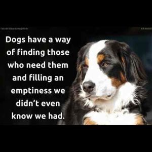 Meet your Posher, Carmen